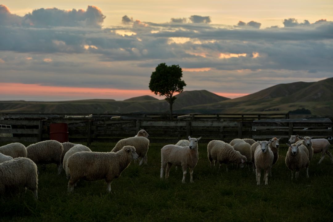 Road through countryside
